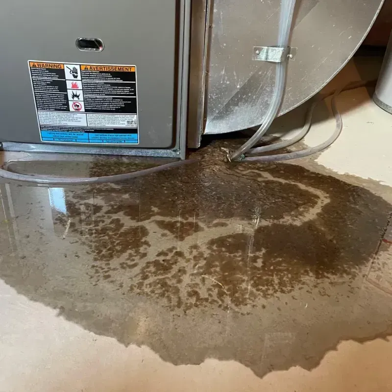 Appliance Leak Cleanup in Laurel, MT